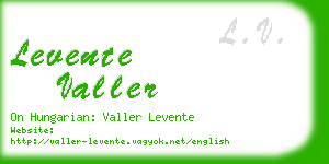 levente valler business card